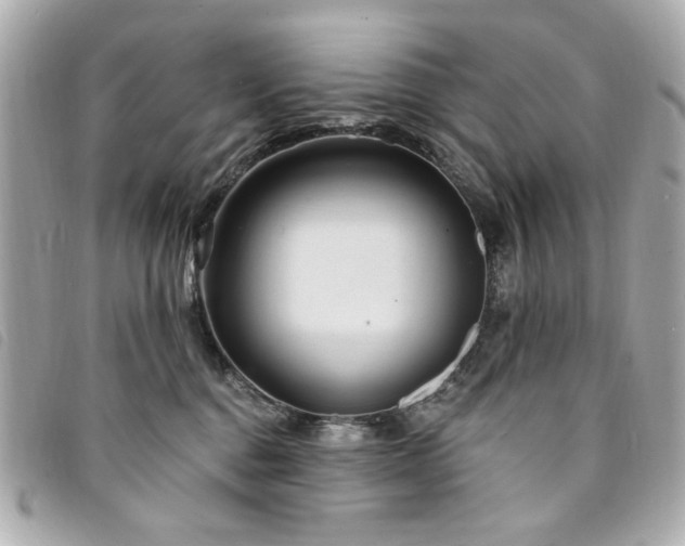 X0000094230376200710261301