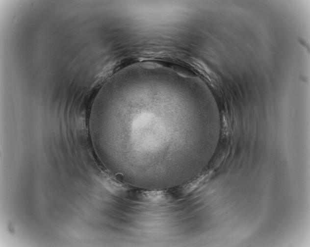 X0000094230377200710261301