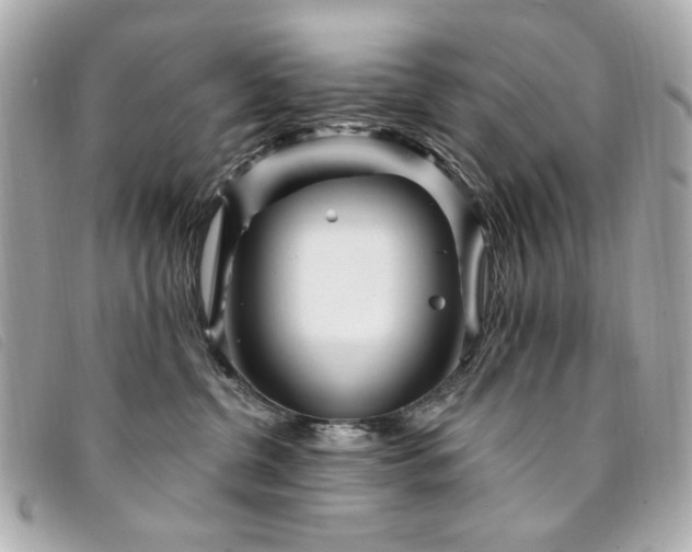 X0000094230380200710261301