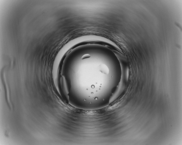 X0000094230382200710261301