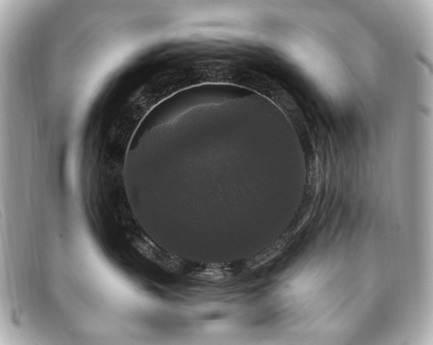 X0000094230383200710261301