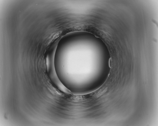 X0000094230384200710261301
