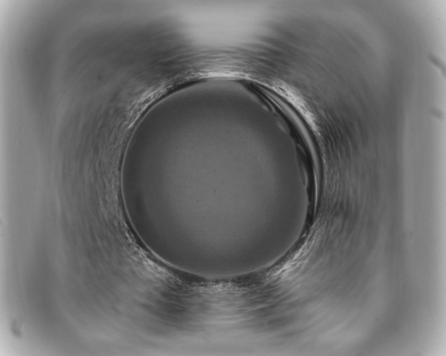 X0000094230385200710261300