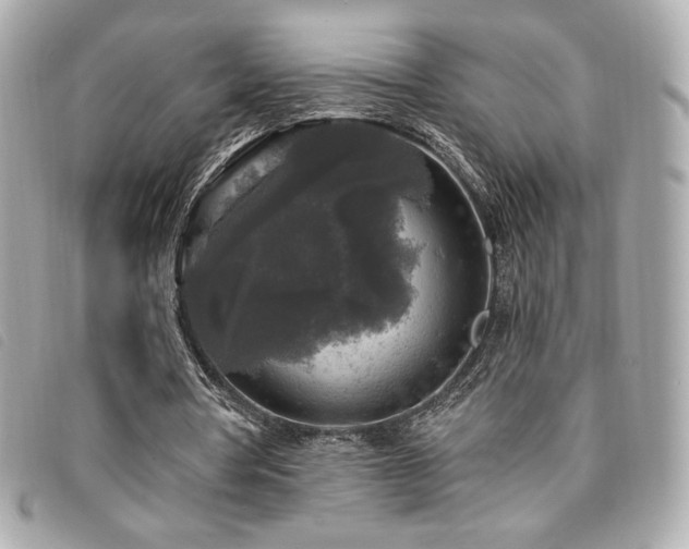 X0000094230386200710261300