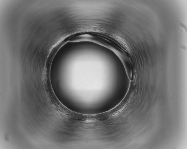 X0000094230388200710261300