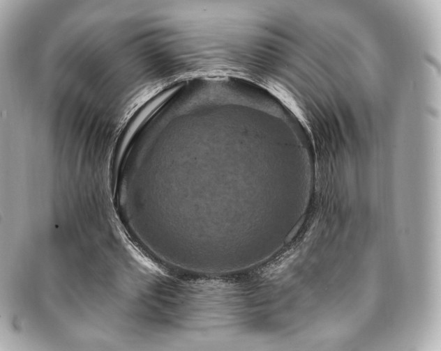 X0000094230389200710261300