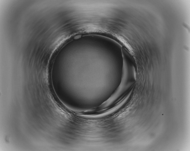 X0000094230391200710261300