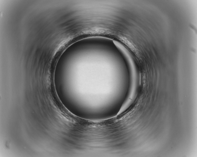 X0000094230392200710261300