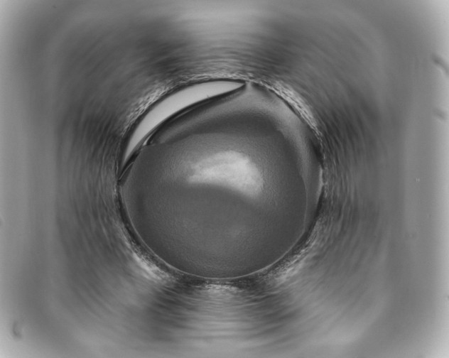 X0000094230393200710261300