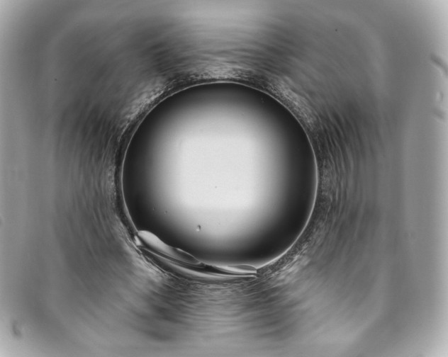 X0000094230394200710261300
