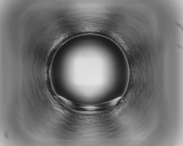 X0000094230395200710261300