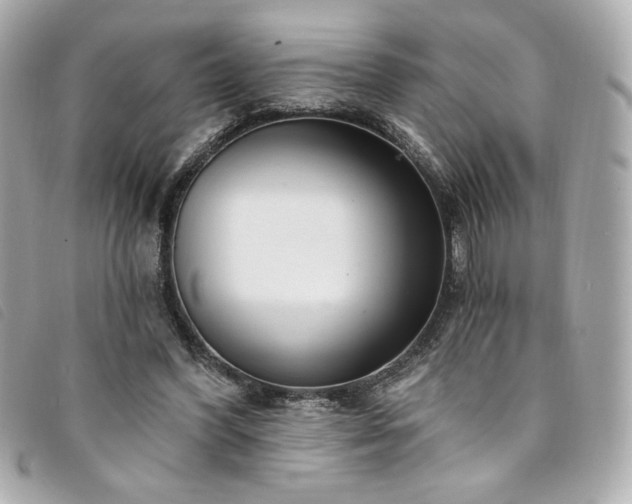 X0000094230396200710261300