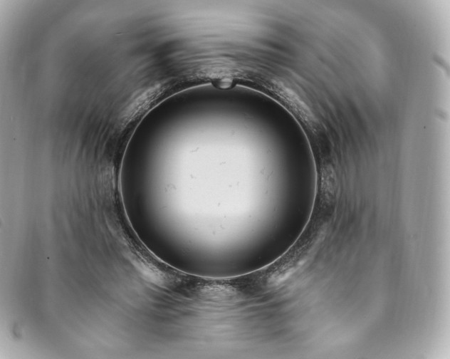 X0000094230397200710261300