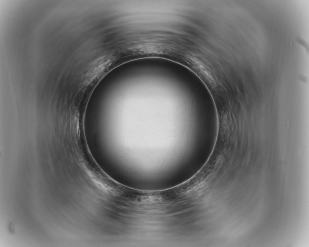 X0000094230398200710261300