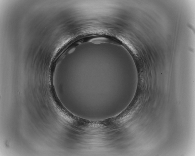 X0000094230399200710261300
