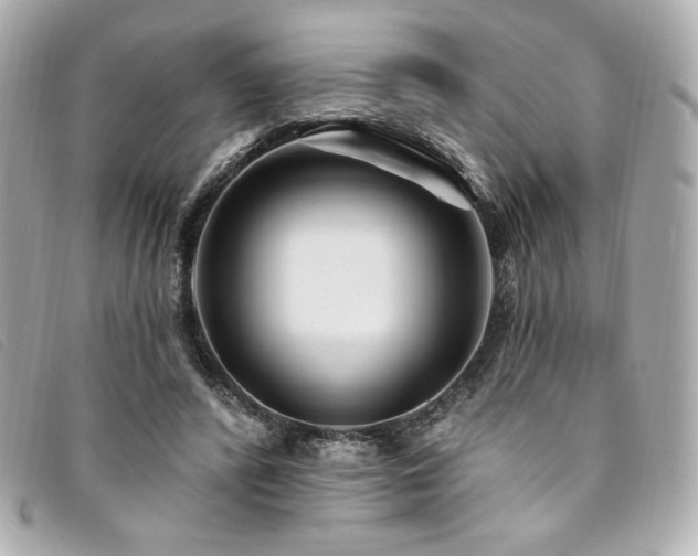 X0000094230400200710261300