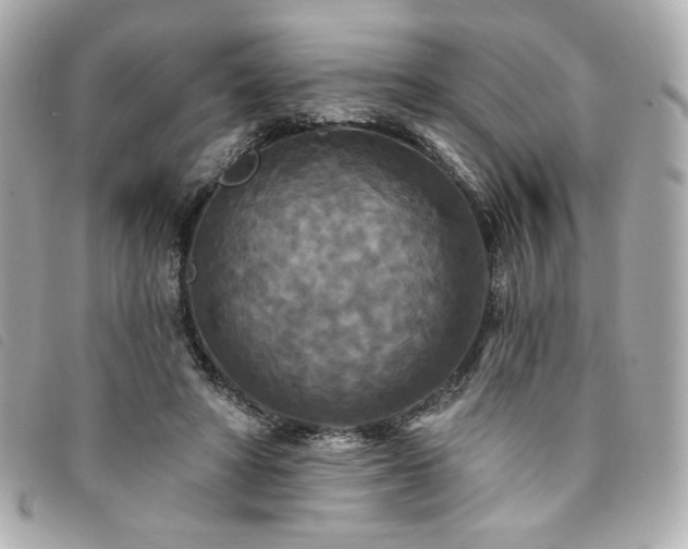 X0000094230402200710261300