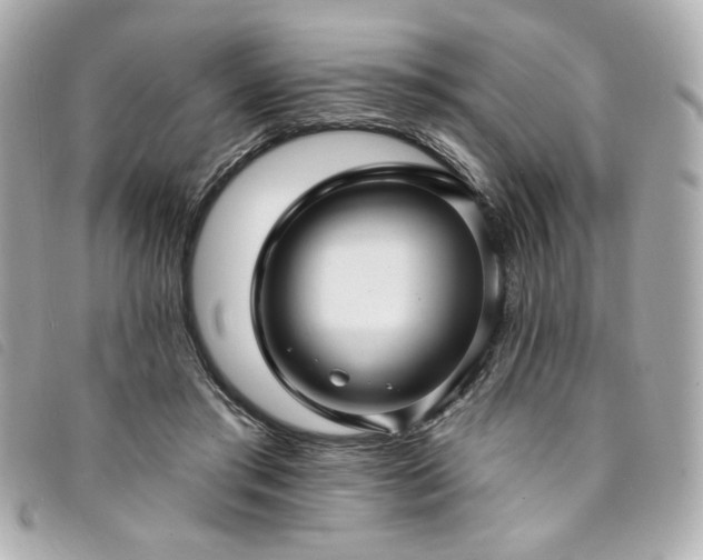X0000094230405200710261300