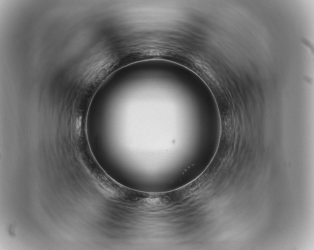 X0000094230406200710261300