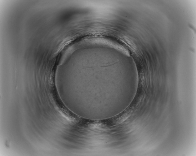 X0000094230408200710261300