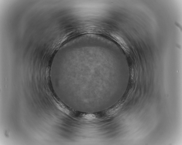 X0000094230409200710261300