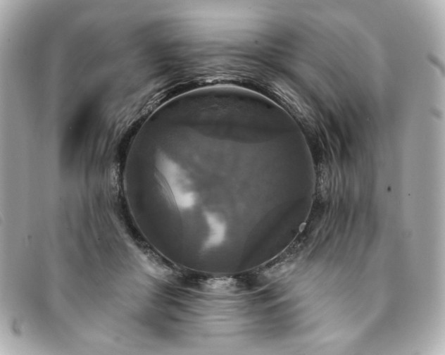 X0000094230410200710261300