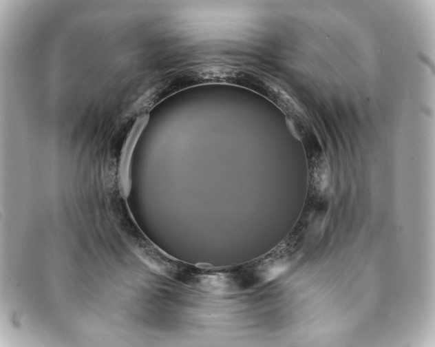 X0000094230411200710261300