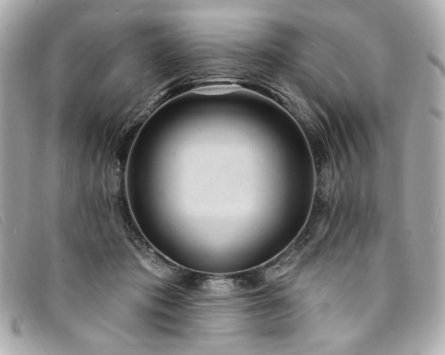 X0000094230413200710261300