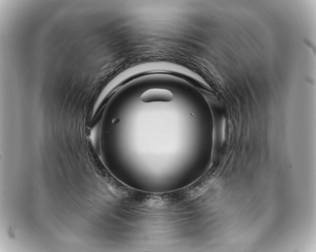 X0000094230416200710261300
