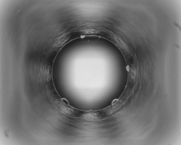 X0000094230422200710261300