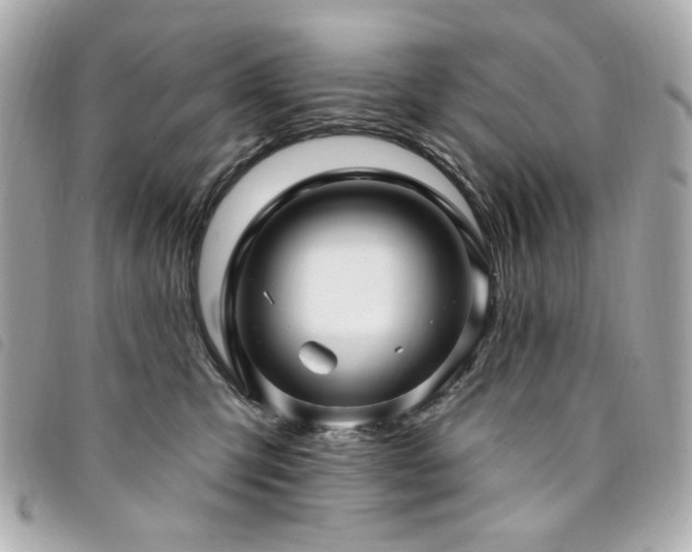 X0000094230423200710261300