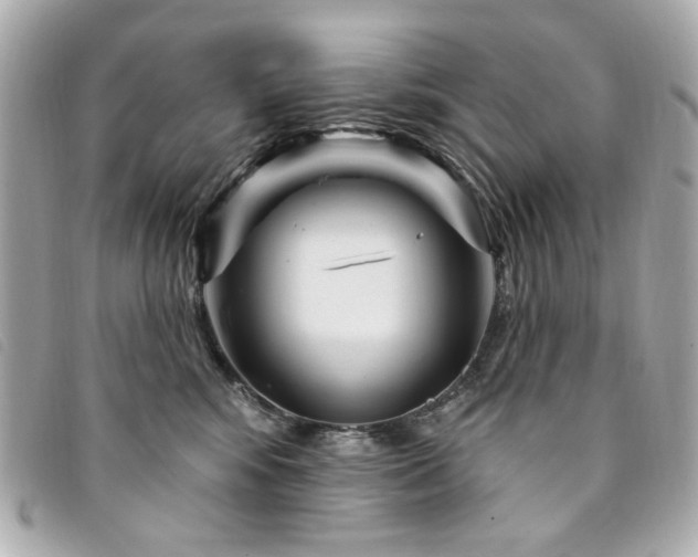 X0000094230424200710261300