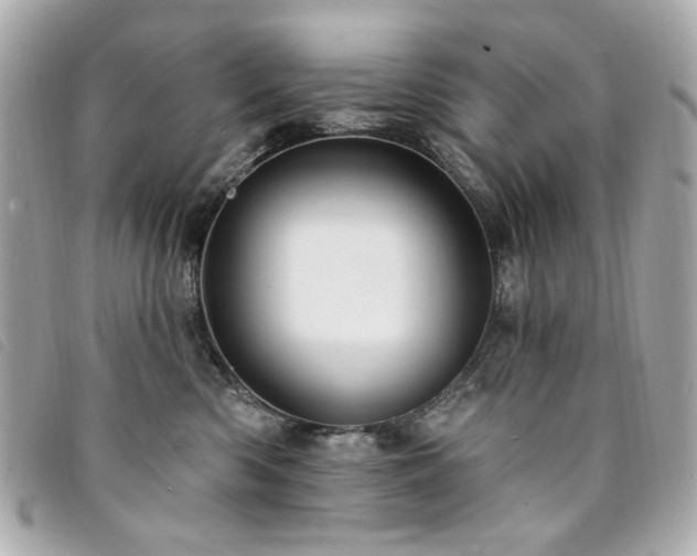 X0000094230426200710261300