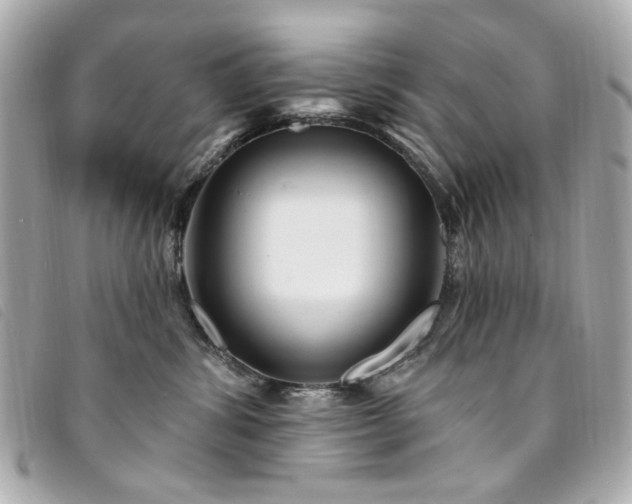 X0000094230428200710261300