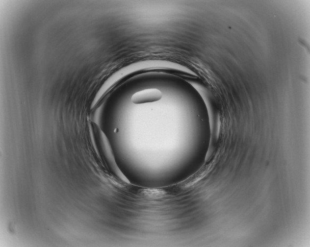 X0000094230429200710261300
