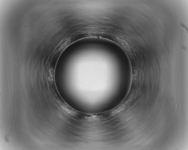X0000094230430200710261300