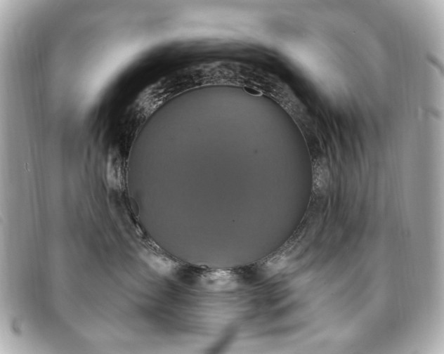 X0000094230431200710261300