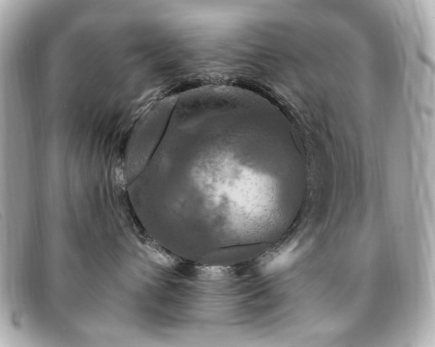 X0000094230432200710261300
