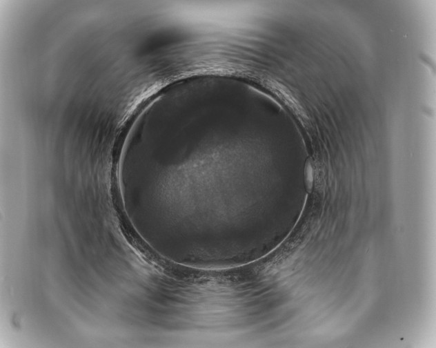 X0000094230434200710261259