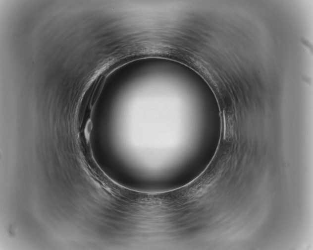 X0000094230435200710261259