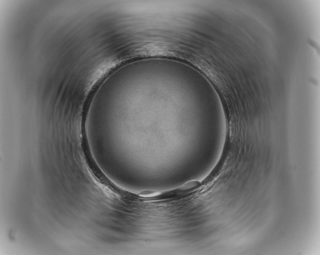 X0000094230438200710261259