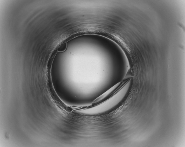 X0000094230439200710261259