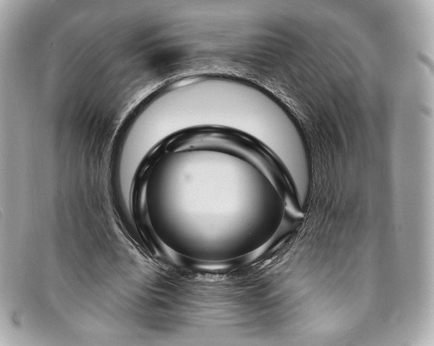 X0000094230440200710261259