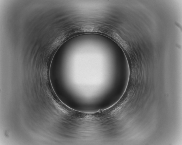 X0000094230441200710261259