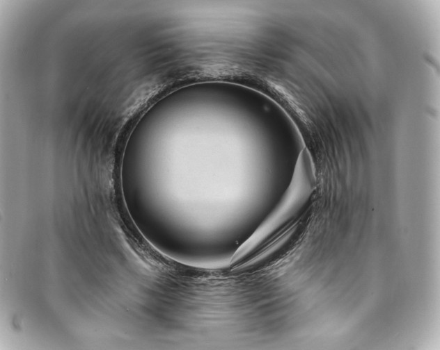 X0000094230443200710261259