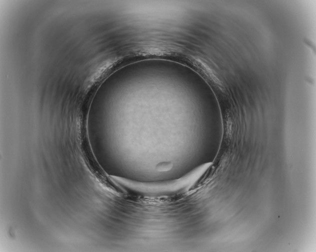 X0000094230444200710261259