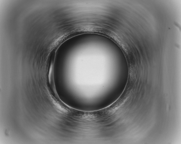 X0000094230445200710261259