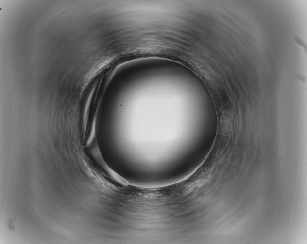 X0000094230446200710261259