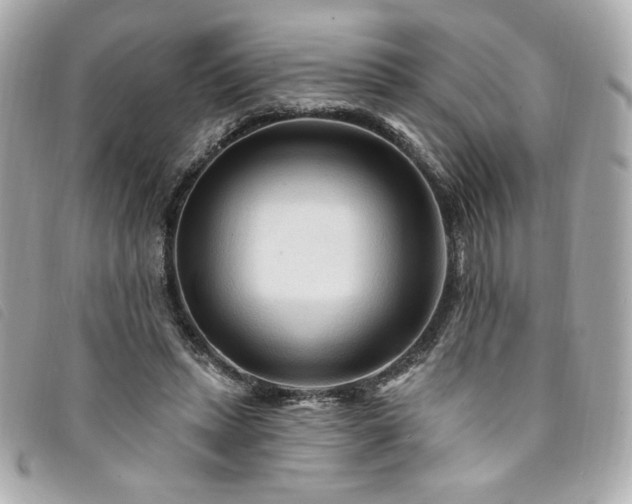 X0000094230447200710261259