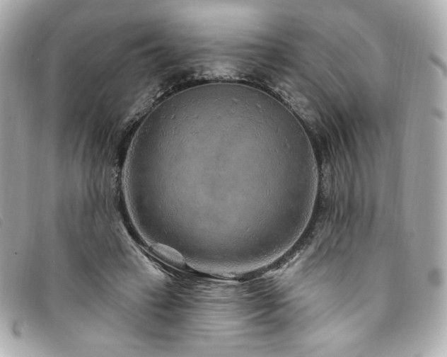 X0000094230449200710261259